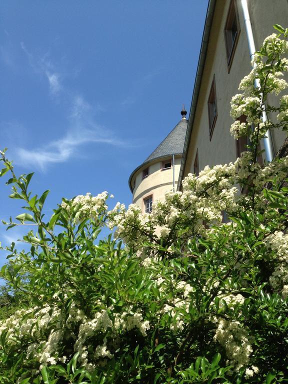 Ev.Familienferien-Und Bildungsstaette Ebernburg Hotel Bad Munster am Stein-Ebernburg Bagian luar foto