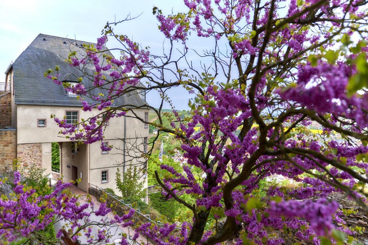 Ev.Familienferien-Und Bildungsstaette Ebernburg Hotel Bad Munster am Stein-Ebernburg Bagian luar foto